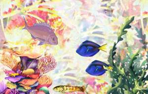 海庭 - 落合浩太郎