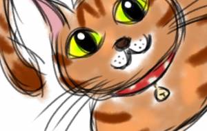 香箱座り - にゃんれの