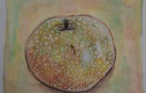 梨 - まかろんちゃん