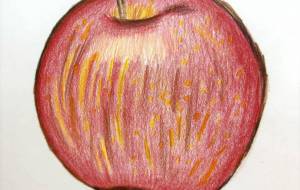 りんご - 星瑞紅