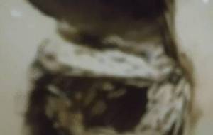 恋卵戦争最純歌(悲しみ色) - 真鍋哲地