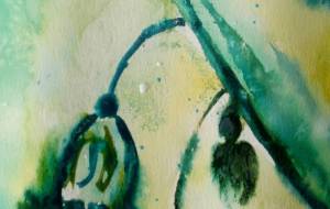 「緑の妖精」 - サオリ