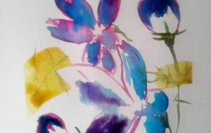 「楽しげな秋桜」 - サオリ