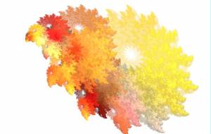 バードウオッチング - 太陽