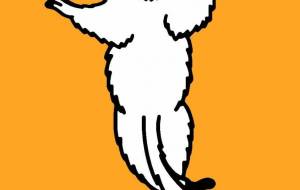 ベローシファカ - シマハイエナ