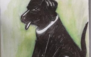 I love you so much 君が愛しくて、たまんないよ。 - 早野 清香