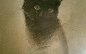 黒猫ニャーちゃん、泣いてるの?おばあさんが亡くなり、涙を拭いて - 真鍋哲地
