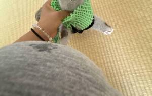 フェレット4 - おこじょ