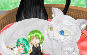 ネコとねんねこ。 - Hitomi