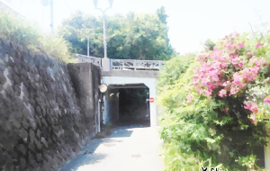 帰り道 - 島津康雄