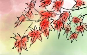 紅葉 - ユイ