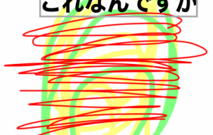 これなんですか - 笹谷正博