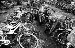 風が強い日 - Sato-C