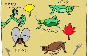 昆虫食 - 工房はんど yu-ma