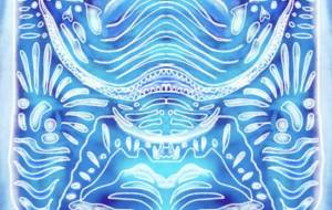 イルカ、宇宙のすがた - Tipoo