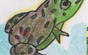 カエルちゃん - R&B