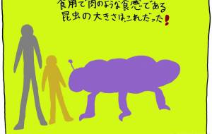 食材 - 工房はんど yu-ma