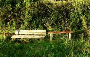 淋しい人 - Sato-C