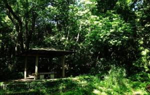 夏の色を探しに - Sato-C