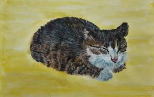 にゃんこ - まかろんちゃん