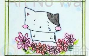 なみだ - ぽちたま