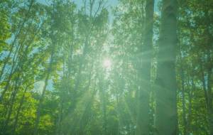 ソナタ彼方 - Yukihiro Sato