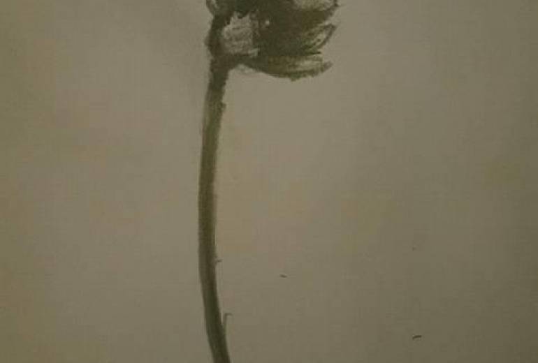 10月ある日、ささやかな光 秋桜、深い永遠