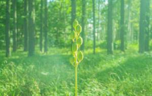 Growing up - Yukihiro Sato