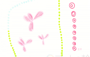 未来 - さきちゃん