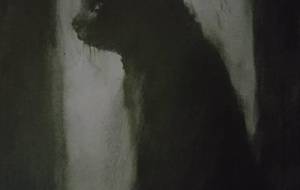 哲地暖花安心黒猫(暖たか猫) - 真鍋哲地