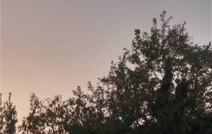 哲地秋の温もり - 真鍋哲地