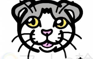 スコティッシュフォールド - シマハイエナ