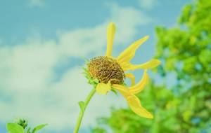 たえる - Yukihiro Sato