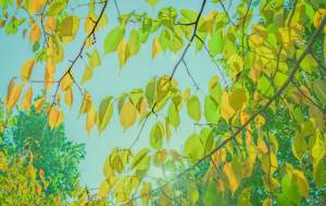 逆境 - Yukihiro Sato