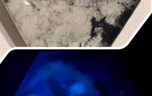 ビックムーンからのリングスタンド - 宇宙くらげ