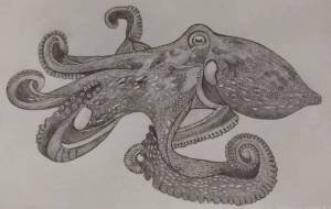 タコ - 伊藤恵美里