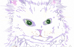 ねこ ラン - ゆふーち