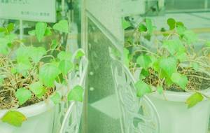 我思う、ゆえに我あり - Yukihiro Sato