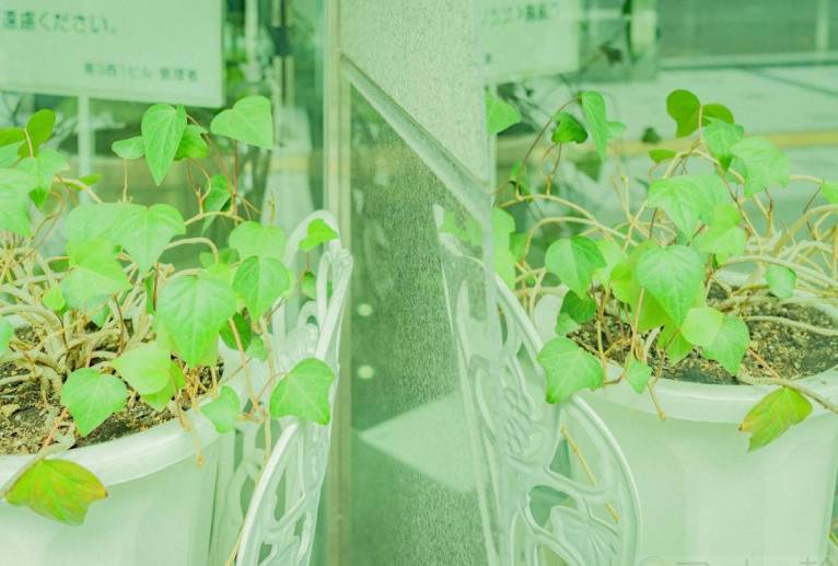 我思う、ゆえに我あり - Yukihiro Sato 