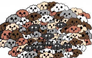 プードル集合体 - ましゅまろまかろん