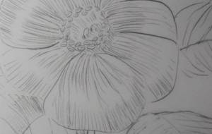 「椿姫」 - サオリ