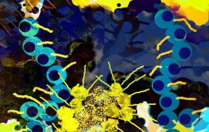 naimen - 菅原たんぽぽ