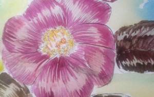 「冬雪花」 - サオリ