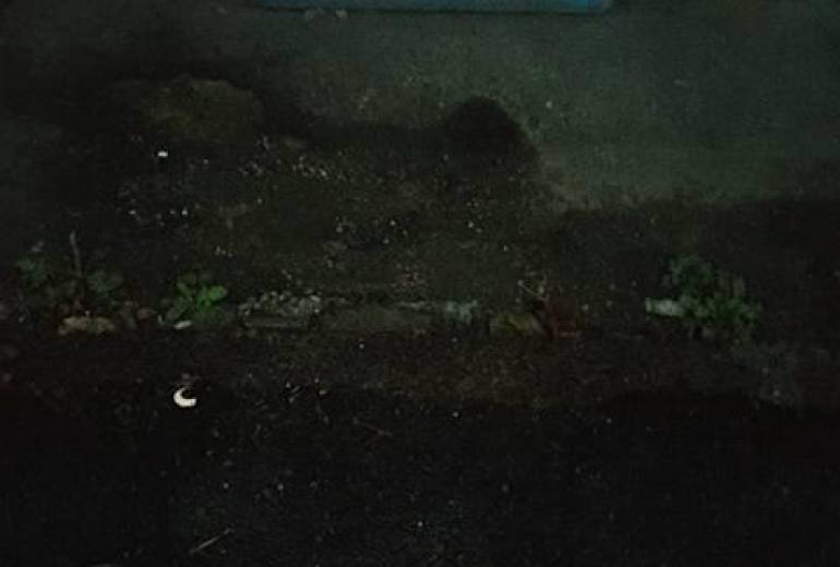 ありがとう、皆さん!ありがとう、本当に!本当に!優しくしてくれて!!!ありがとう!!!