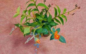 kさんへ、捧げる花 - 万煉(まれん)