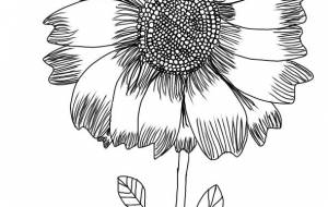 お花 - 吉村タミヤ