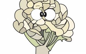 カリフラワー君 - アクター