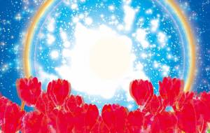 ムーンハロとシクラメン - 山下重人