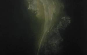 精神障害者平等的女神!確かに貴女は、精神障害者かも知れないけど、僕は貴女は女神に見える(こころから貴女へ) - 真鍋哲地