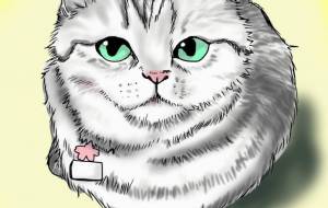 11月のヒスイ。 - 羽津美由紀